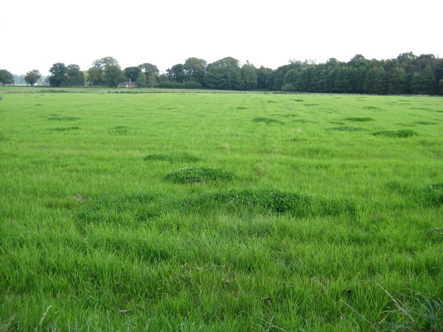 Field view near Willoughbridge Farm © Peter Fleming :: Geograph Britain ...