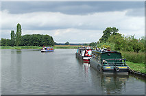 SJ9822 : Tixall Wide, Staffordshire and Worcestershire Canal by Roger  Kidd