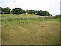 Farmland south of Prees