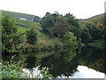 Wickenhall Upper Lake, Ogden