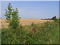 Farmland Northeast Of Keelby