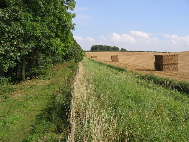 Wood And Farmland