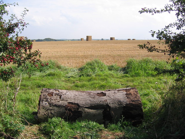 Lincolnshire Wolds Farmland