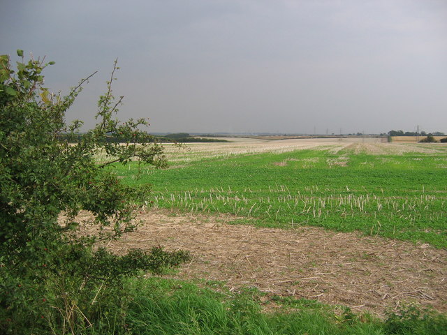 Farmland Near Cuxwold