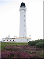 NJ2071 : Heather at Covesea Lighthouse by Phil Williams