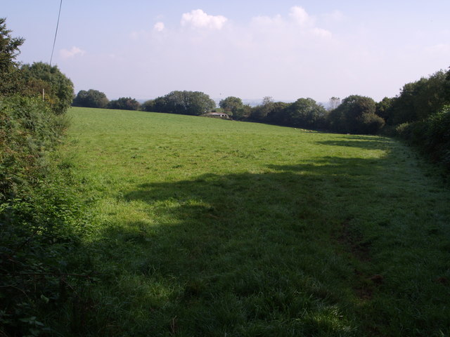 Field near Hill Farm © Derek Harper :: Geograph Britain and Ireland