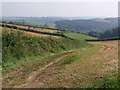 Taw valley from above Shortridge Wood