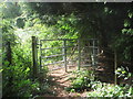 Kissing Gate near Tidenham church