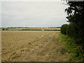 TM1684 : Across the autumn plough near Broad Way by Zorba the Geek