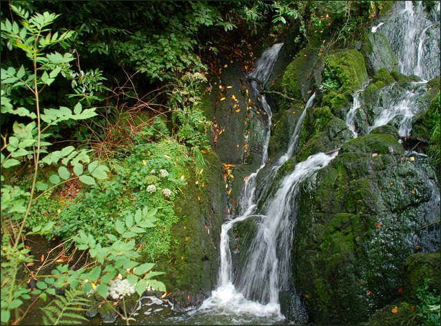 Crawfordsburn Glen Near Bangor (15) © Albert Bridge Cc-by-sa 2.0 