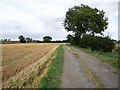 Farm road near Thornton Wood