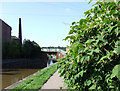 Something Nasty on the Towpath, Longport, Staffordshire