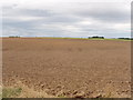 Ploughed field near Brackens