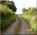 Looking Towards Pickhill From Sandfield Lane