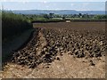 Ploughed field on Stowey Lane