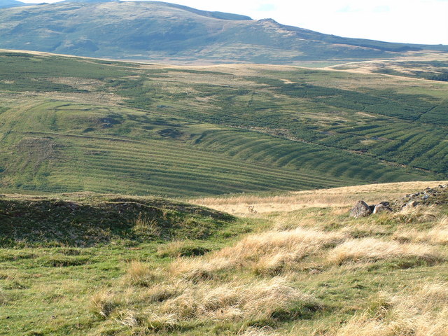 Hill Fort and Cultivation Terraces