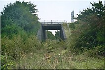 TF6117 : Bridge near the A47 Saddlebow Roundabout by Lewis Collard