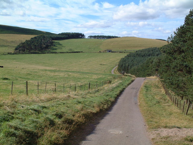 Road from Clinch to Fawdon
