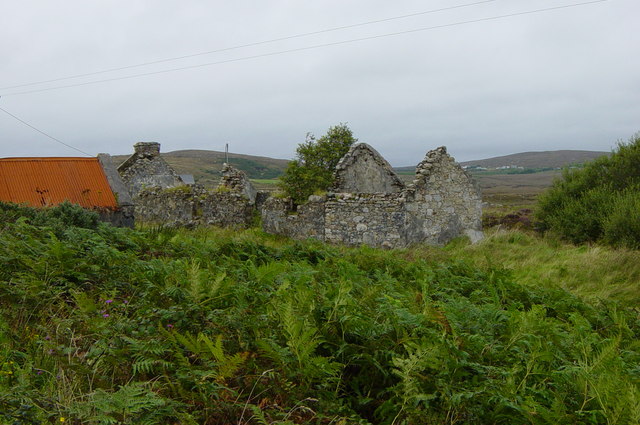 Ruined cottage and shed - Meendrain Townland