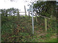 Footpath in Haddon Lane