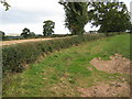 Footpath in Weston Lane