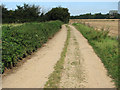 Track connecting Meadow Farm Lane with Fairholme Road