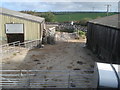 Farmyard at Higher Trefrew Farm