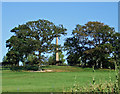 Hilltop Obelisk Thornhill Park