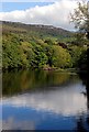 SK2475 : River Derwent above the weir by Roger Temple