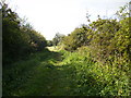 Bridleway to Lingholm Farm