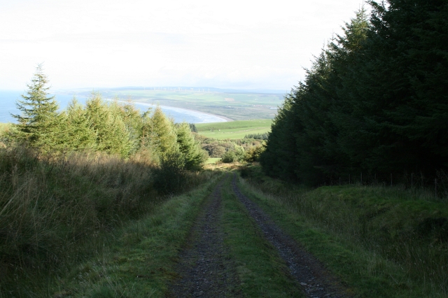 Track in Killypole Forest.