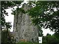 S4749 : Ballybur Castle by liam murphy
