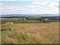 Harvested barley field, view from Fifebanks to the Tay