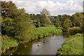 The River Bann at Ballievey near Banbridge (4)