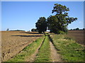 Whitwell: Public footpath to Preston