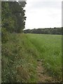 Footpath off Gawthorpe Green Lane, Lepton