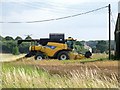 Combine Harvesting at Capnil Farms, Old Woodhall