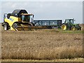 Combine Harvesting at Capnil Farms, Old Woodhall