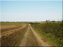 TA0870 : Track and farm building south of Burton Fleming by Phil Catterall