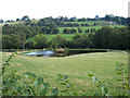 Fishing lake near Cornorion Fawr