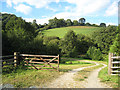 Gateway and drive near Cornorion Fawr