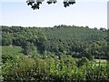 Wooded scarp above Pentre