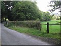 Trace of a level crossing