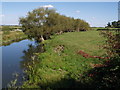 River Isle near Midelney