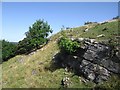 Limestone outcrop at Craig-y-rhiw