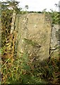 SE1711 : Guide stone, Wood Lane, Farnley Tyas by Humphrey Bolton