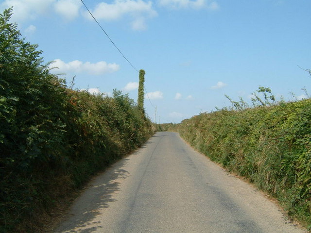 A lane, with a rather green telegraph pole