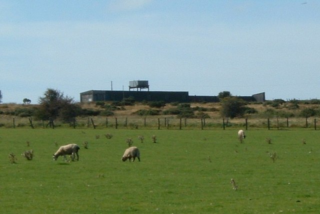 Rifle range, fiercely guarded by sheep