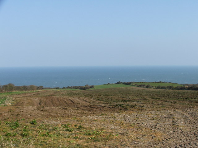 Coastal field.