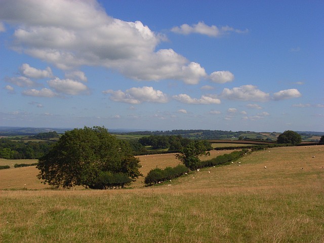 Toller Down © Andrew Smith :: Geograph Britain and Ireland